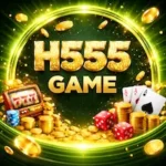 H555 Game