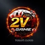 2V Game